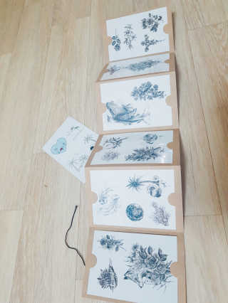 NanHeeLee님이 올린 리뷰 사진 2