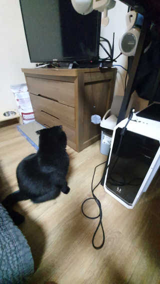 호두호두님이 올린 리뷰 사진 3