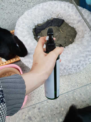 흐큑흐큑님이 올린 리뷰 사진 1