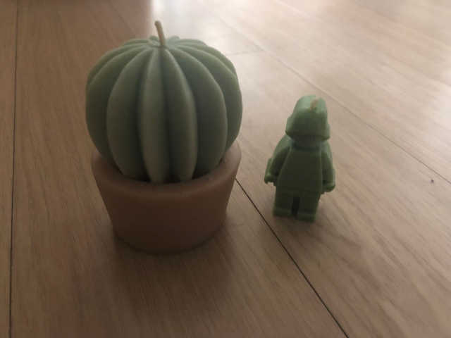 선인장소이캔들 리뷰 사진