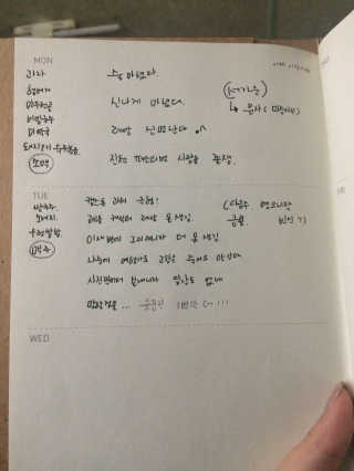 박수진님이 올린 리뷰 사진 3