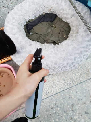 흐큑흐큑님이 올린 리뷰 사진 2