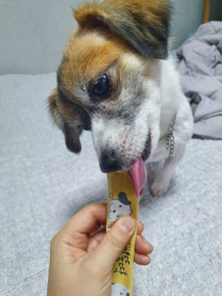[펫토리아]짜먹는 한입뚝딱 강아지.고양이 마약간식 — 4.5점을 준 리뷰어가 2019년 8월 올린 사용 사진