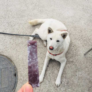 mitchen님이 올린 리뷰 사진 3