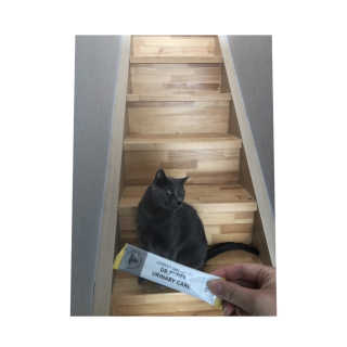 은쓸님이 올린 리뷰 사진 2