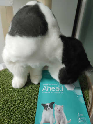 고고고님이 올린 리뷰 사진 3