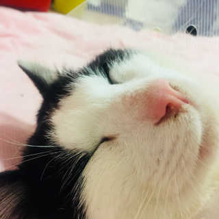 한라봉님이 올린 리뷰 사진 2