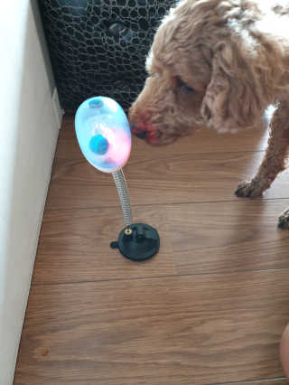삐삐맘님이 올린 리뷰 사진 1