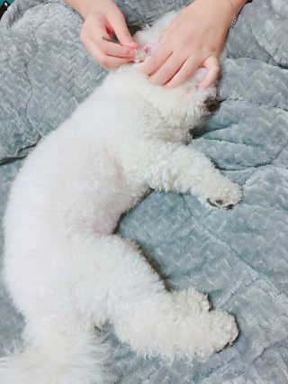 도담이누나님이 올린 리뷰 사진 4