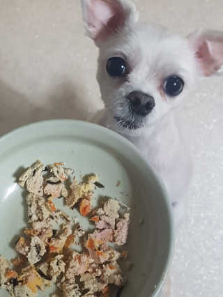 노다지님이 올린 리뷰 사진 1