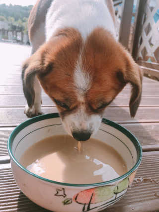 KimSeonMi님이 올린 리뷰 사진 3