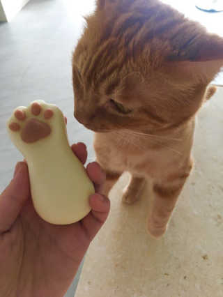 강태윤님이 올린 리뷰 사진 1