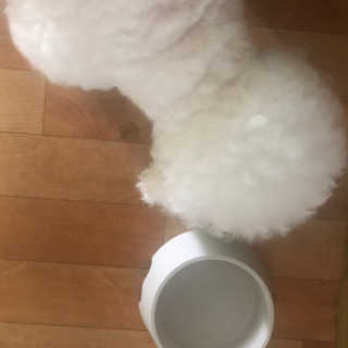 갱스님이 올린 리뷰 사진 3