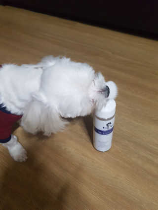블링데코님이 올린 리뷰 사진 2
