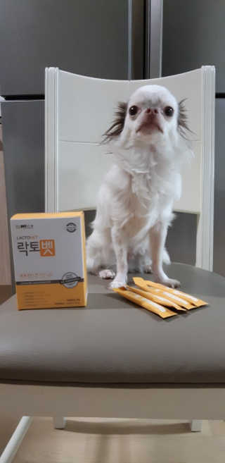 찡님이 올린 리뷰 사진 1