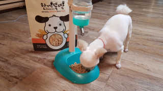 [펫토리아] 맛도 영양도 BEST 한끼뚝딱 강아지 사료 — 4점을 준 리뷰어가 2018년 12월 올린 사용 사진