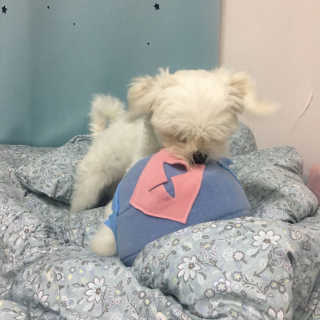 정꾸꾸님이 올린 리뷰 사진 3