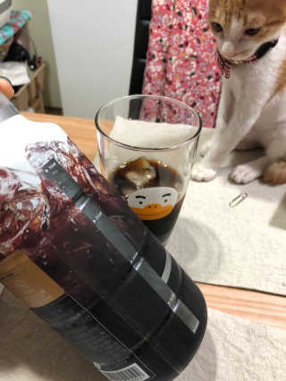 (주)쟈뎅 쟈뎅 시그니처 아메리카노 1.1L — 3.17점을 준 리뷰어가 2018년 8월 올린 사용 사진