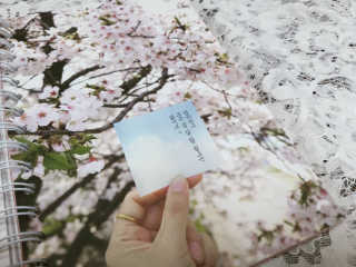 김삐약님이 올린 리뷰 사진 2