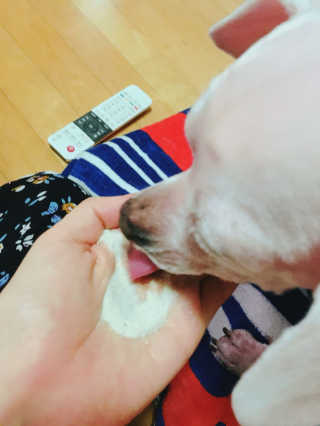쮸동비님이 올린 리뷰 사진 1