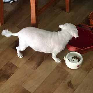 치코님이 올린 리뷰 사진 3