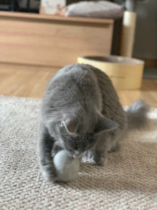 유제제님이 올린 리뷰 사진 1