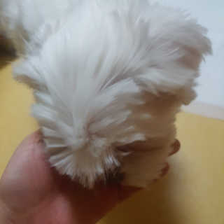 뽀오오옹님이 올린 리뷰 사진 3