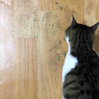 미애님이 올린 리뷰 사진 3