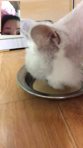 이윤희님이 올린 리뷰 사진 3