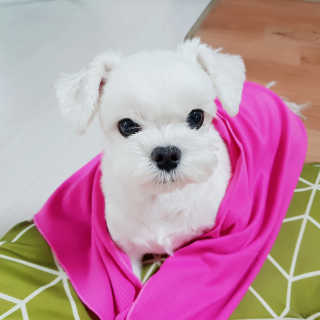 ddorry님이 올린 리뷰 사진 1