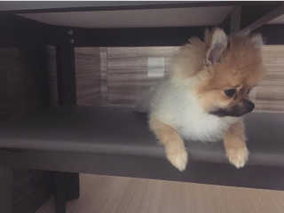 꼬미님이 올린 리뷰 사진 1