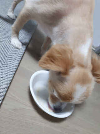 jina2744님이 올린 리뷰 사진 3