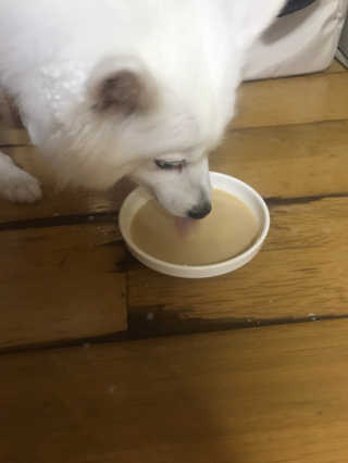 하죠이님이 올린 리뷰 사진 2