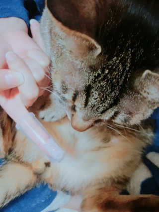 신예지님이 올린 리뷰 사진 3