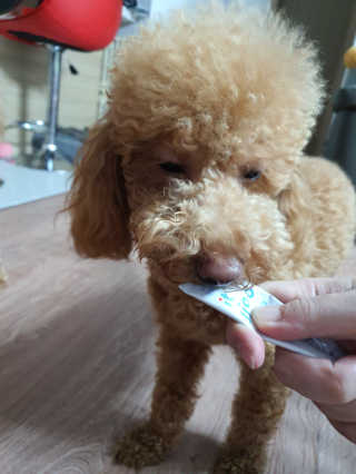 쌜룽님이 올린 리뷰 사진 4