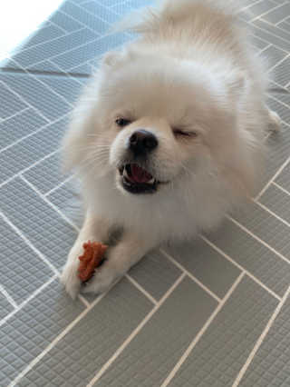 단미콘님이 올린 리뷰 사진 2
