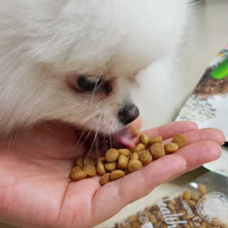 모자님이 올린 리뷰 사진 1