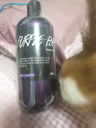 미실님이 올린 리뷰 사진 2