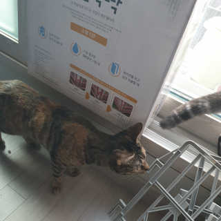 이째님이 올린 리뷰 사진 3