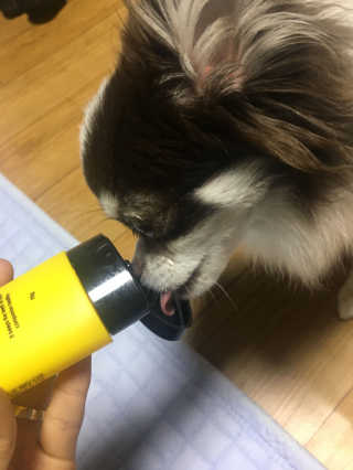 SeuminJe님이 올린 리뷰 사진 1