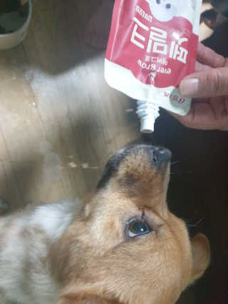 yallyyalla님이 올린 리뷰 사진 2