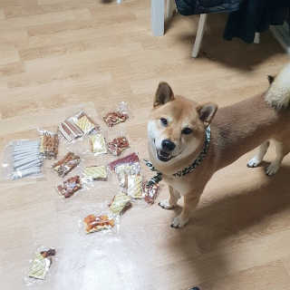 [펫토리아] 뚝딱뚝딱 400g 강아지 간식 베스트5종 — 5점을 준 리뷰어가 2019년 1월 올린 사용 사진