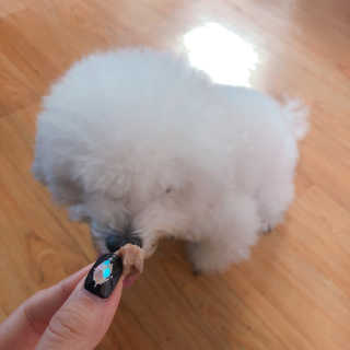 김지윤님이 올린 리뷰 사진 3