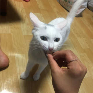 디헹님이 올린 리뷰 사진 4