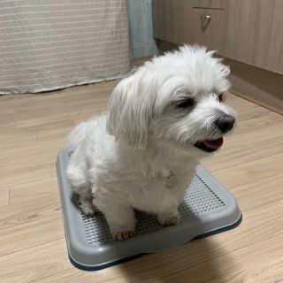 규빈띵쏘님이 올린 리뷰 사진 1
