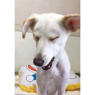 화여밍님이 올린 리뷰 사진 4