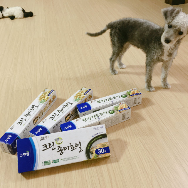 크린종이호일,한지기름종이 리뷰 사진