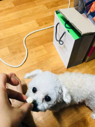 펫츠플레이트 동결건조간식 기호성 테스트 8종 — 4.17점을 준 리뷰어가 2018년 5월 올린 사용 사진