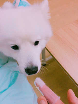 김아름님이 올린 리뷰 사진 2