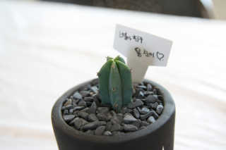 순대t님이 올린 리뷰 사진 1